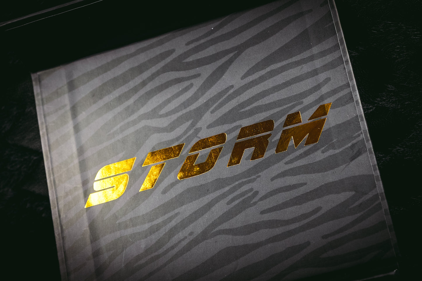 STORM JAGUAR Bearings