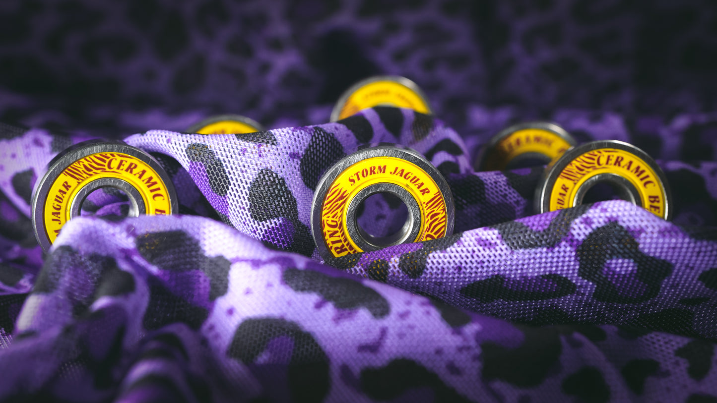 STORM JAGUAR Bearings