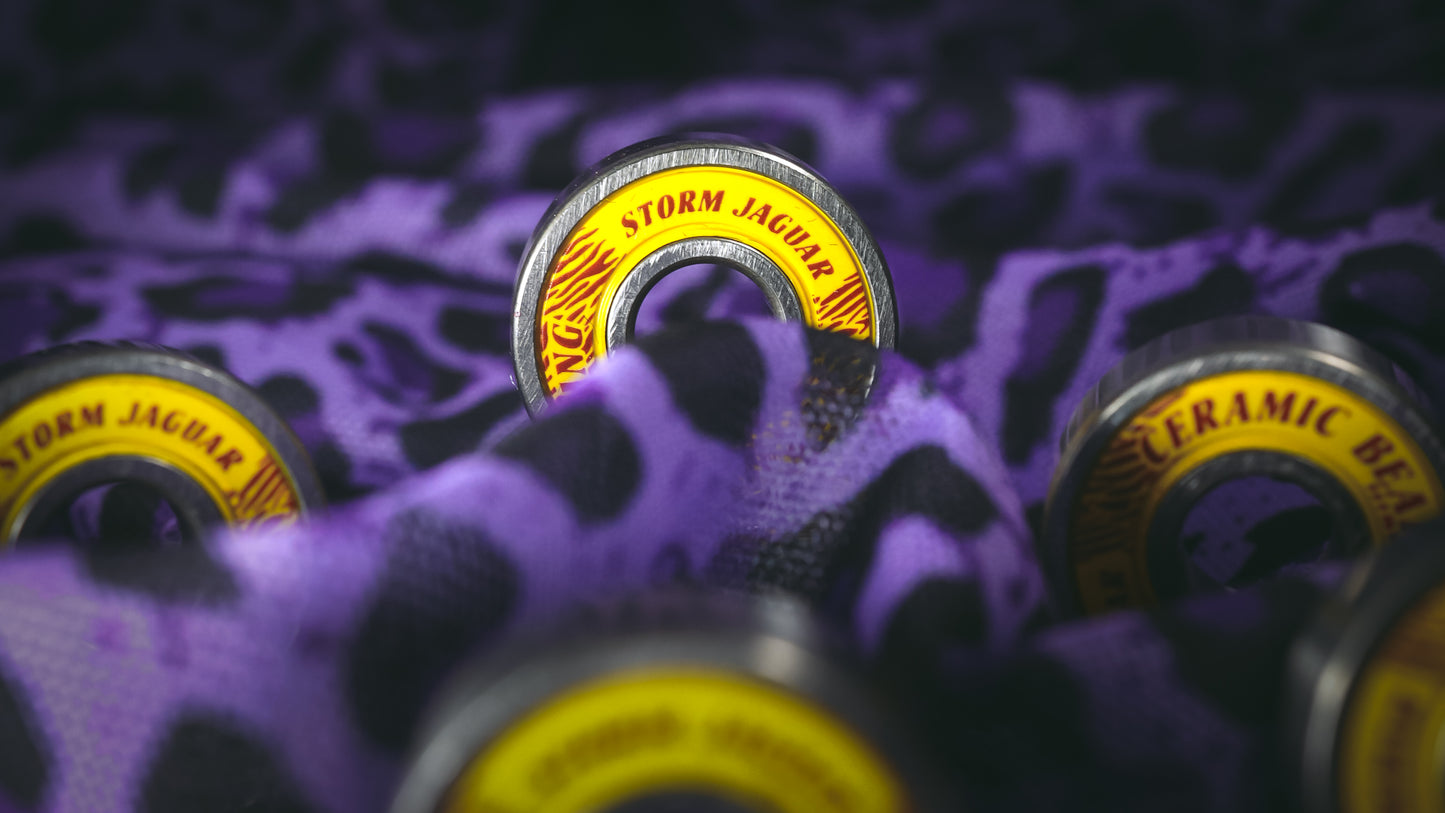 STORM JAGUAR Bearings