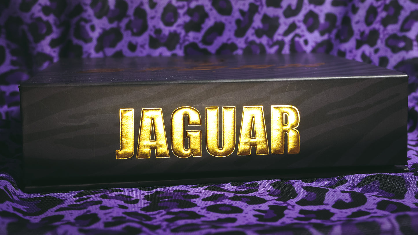 STORM JAGUAR Bearings