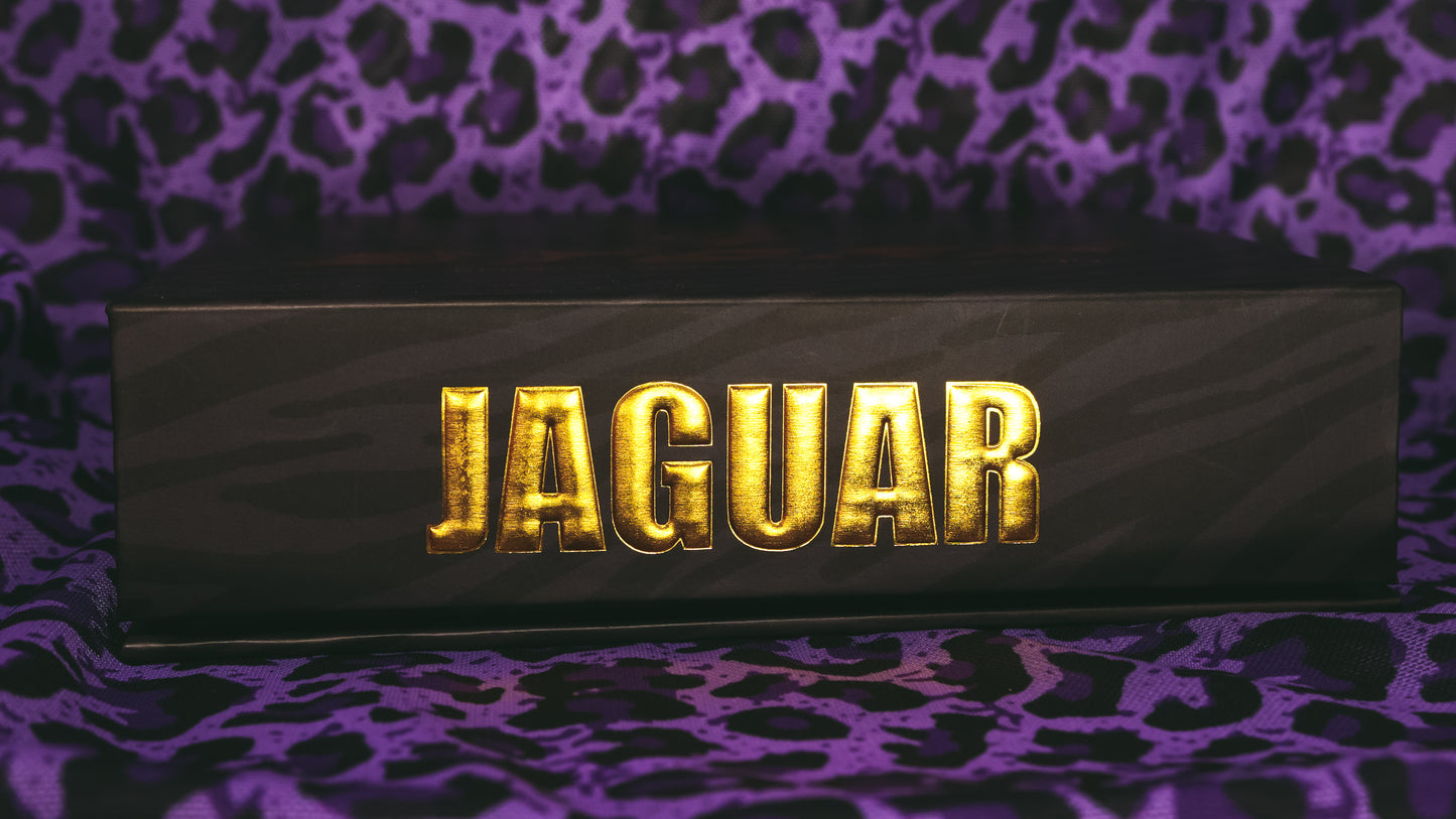 STORM JAGUAR Bearings