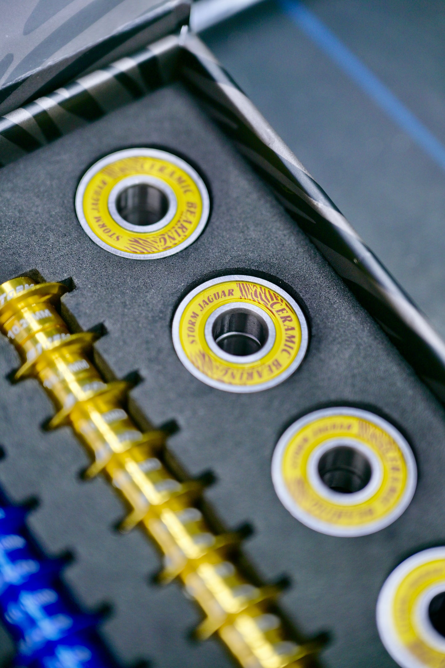 STORM JAGUAR Bearings