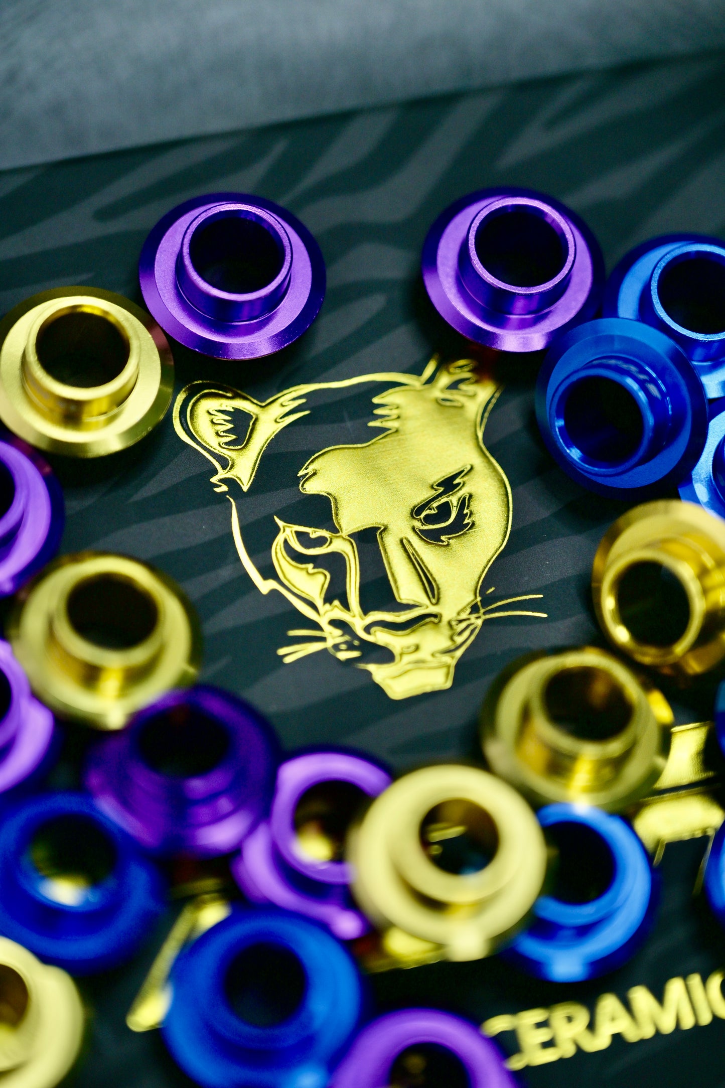 STORM JAGUAR Bearings